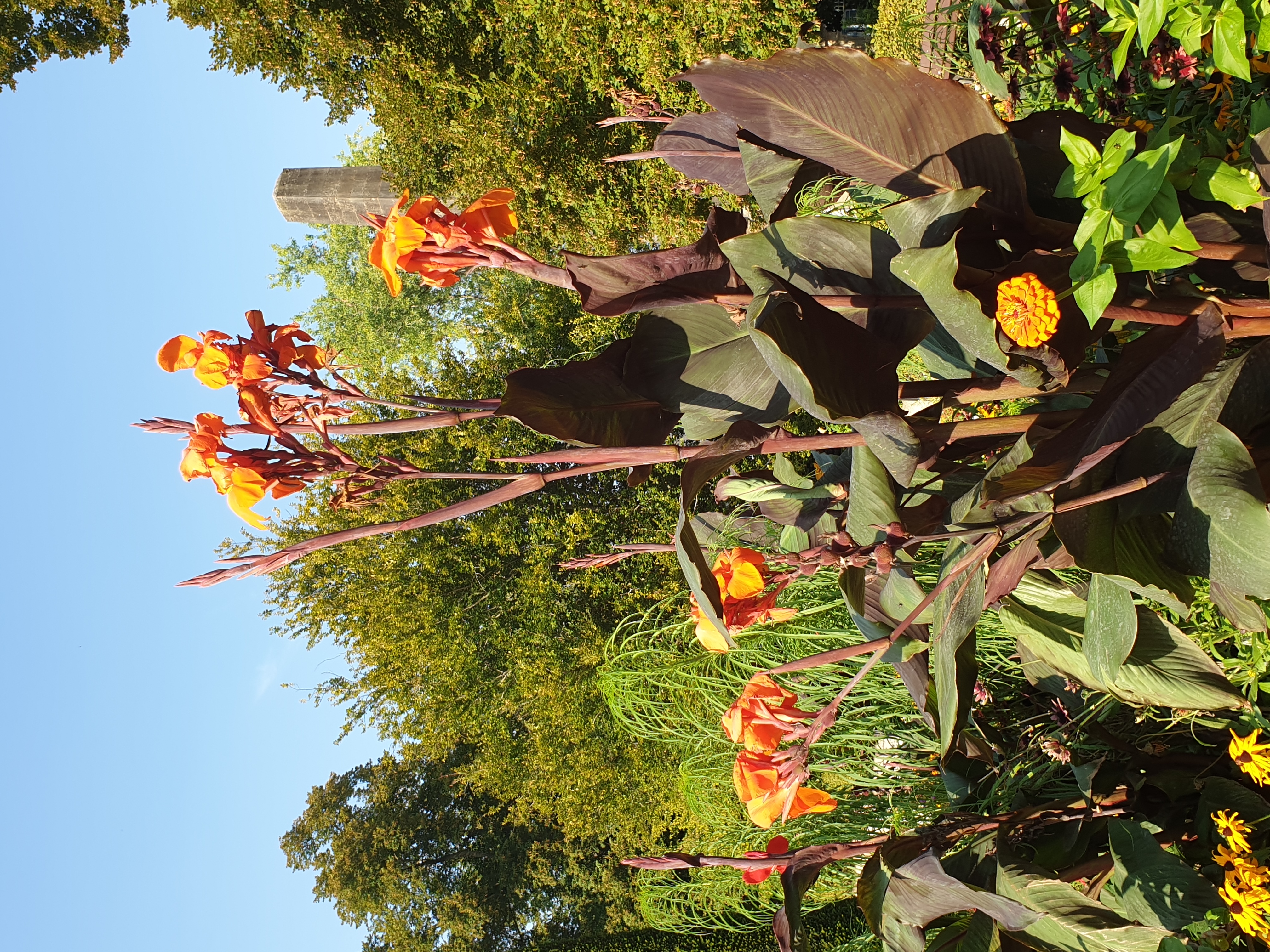 jardin-de-l-archeveche-bourges-cannas-geants.jpg