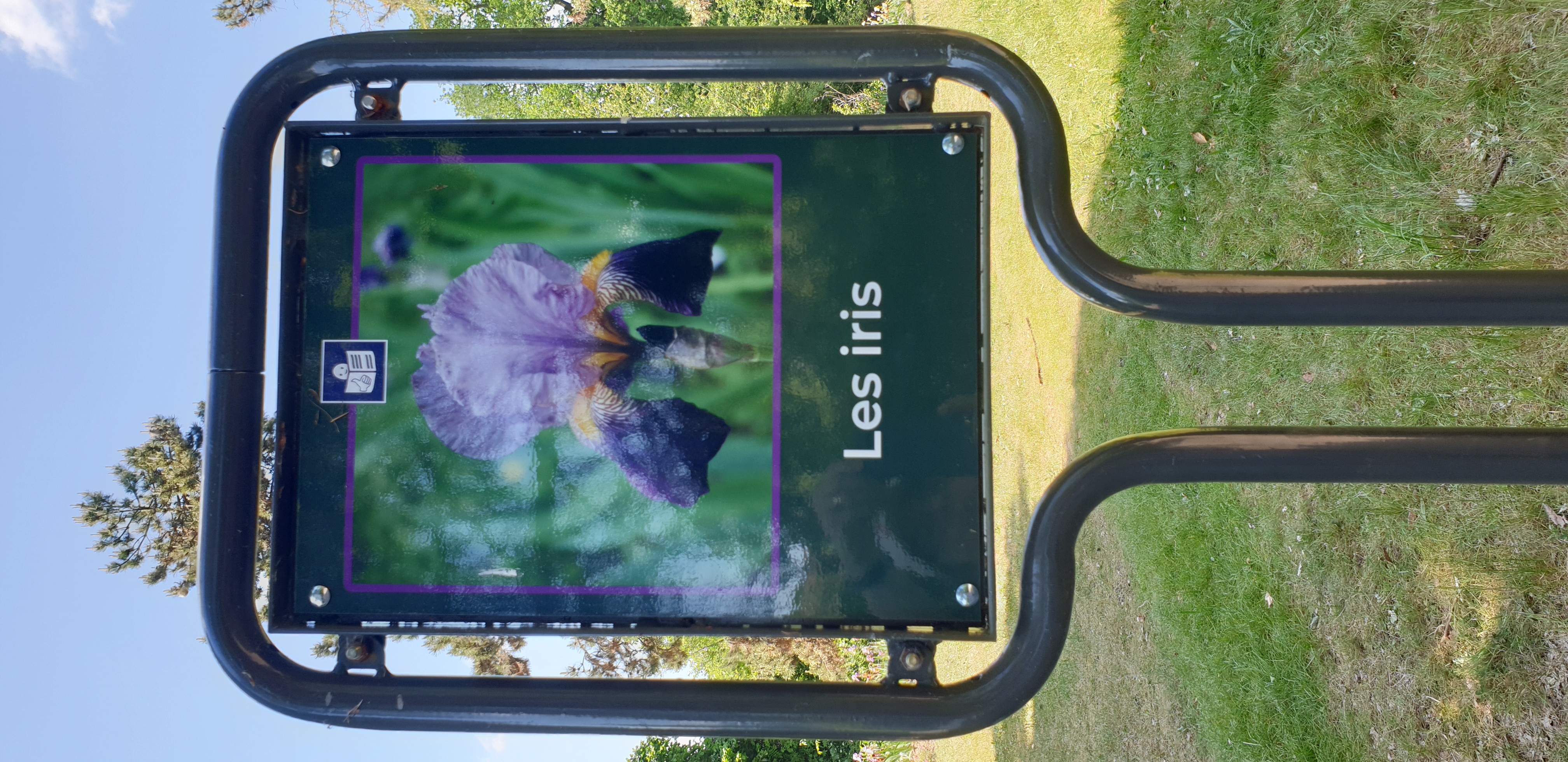 parc-floral-de-paris-iris-1.jpg