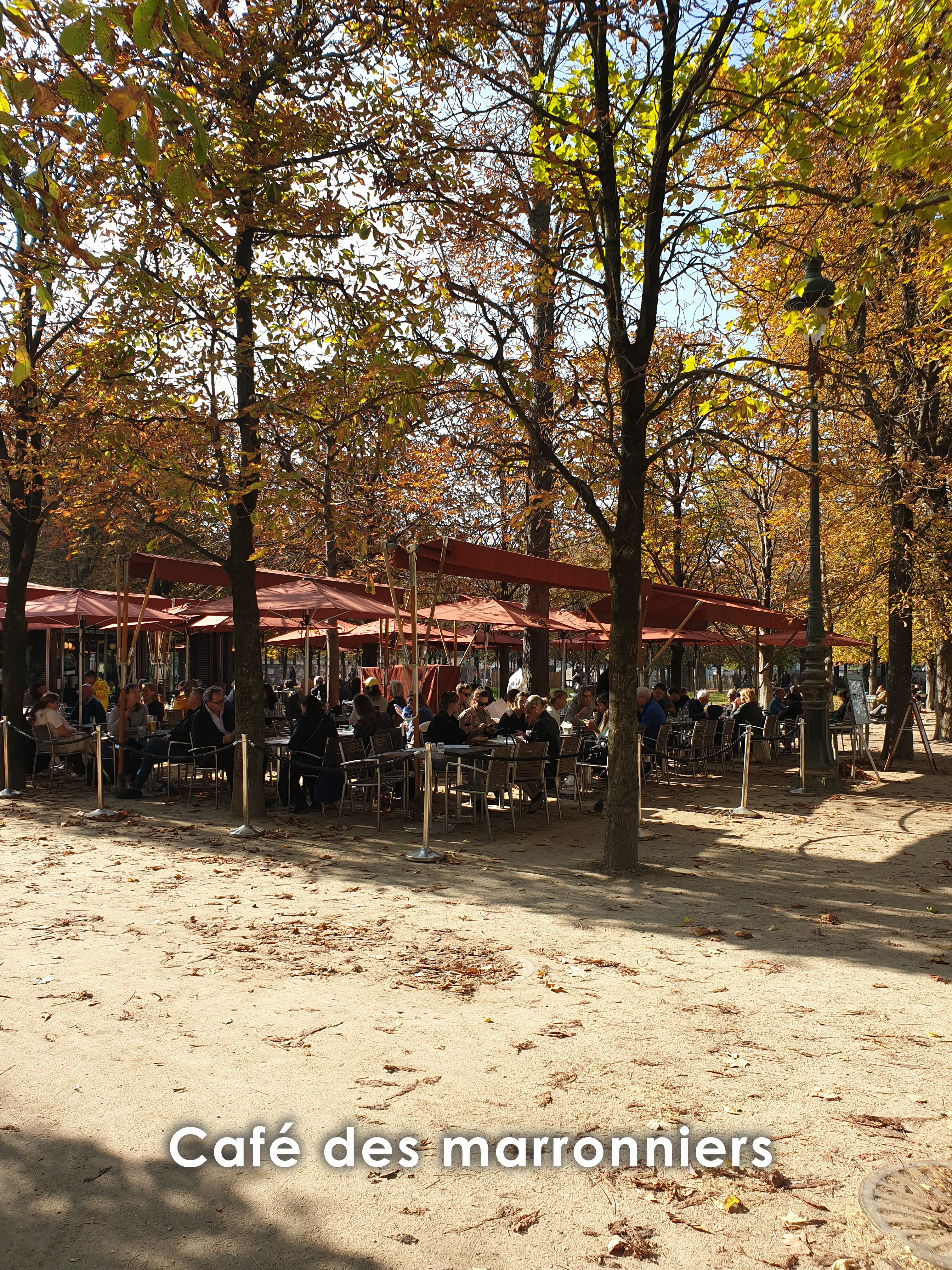 jardin-des-tuileries-cafe-des-marronniers.jpg