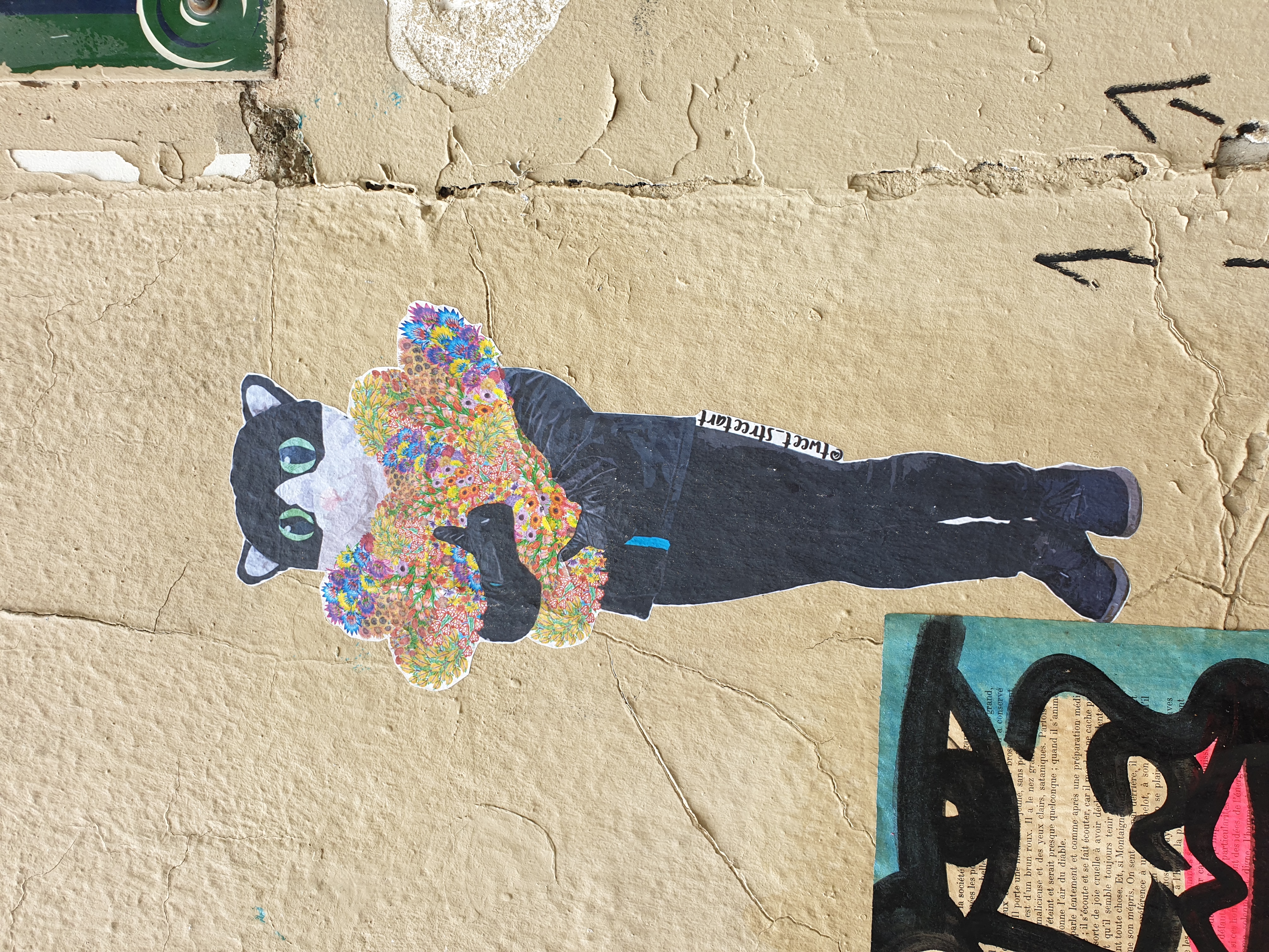 street-art-passage-du-moulin-des-pres-chat-a-fleurs-tweet-streetart.jpg