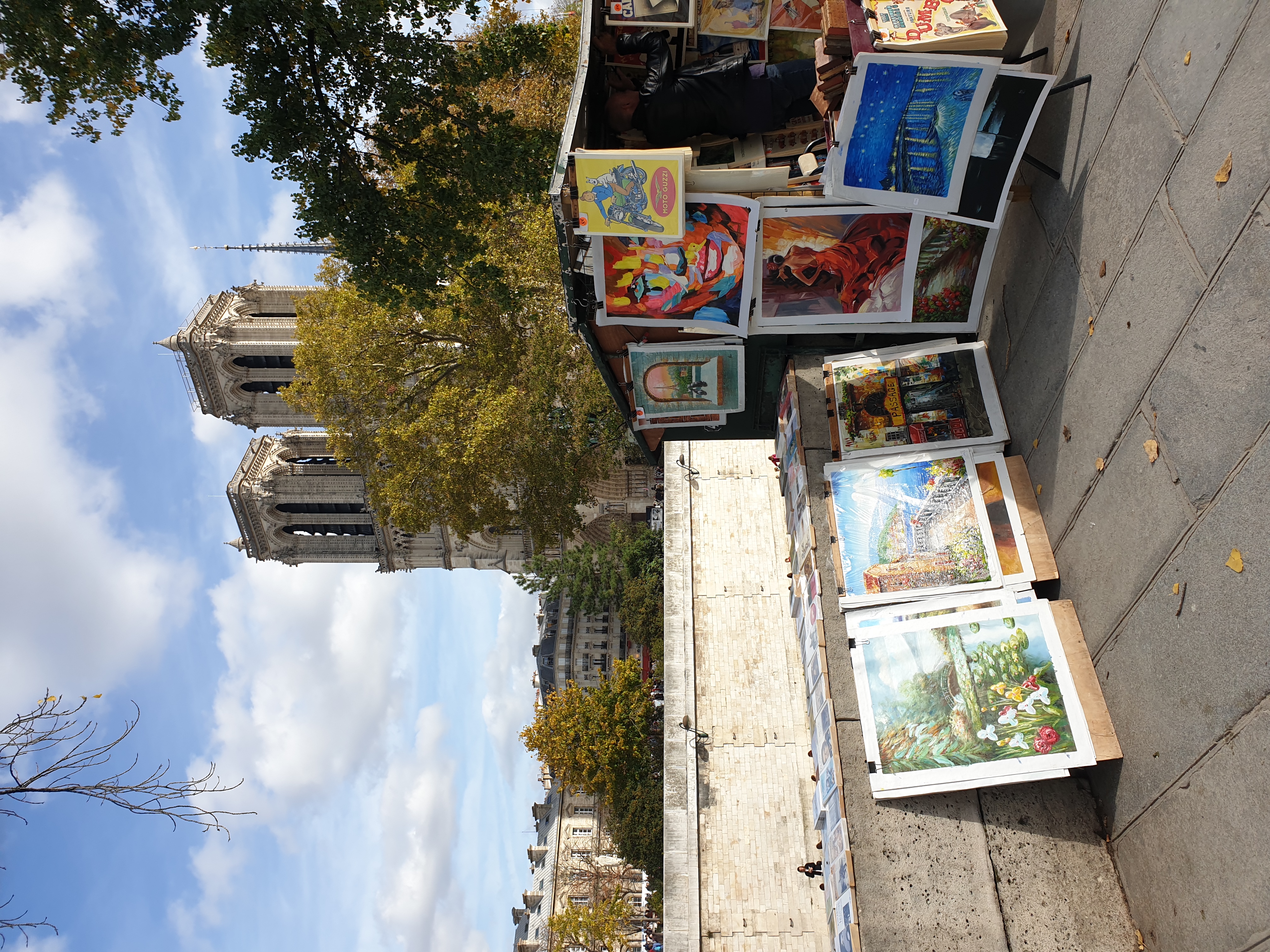 vue-sur-notre-dame-quai-montebello-paris.jpg