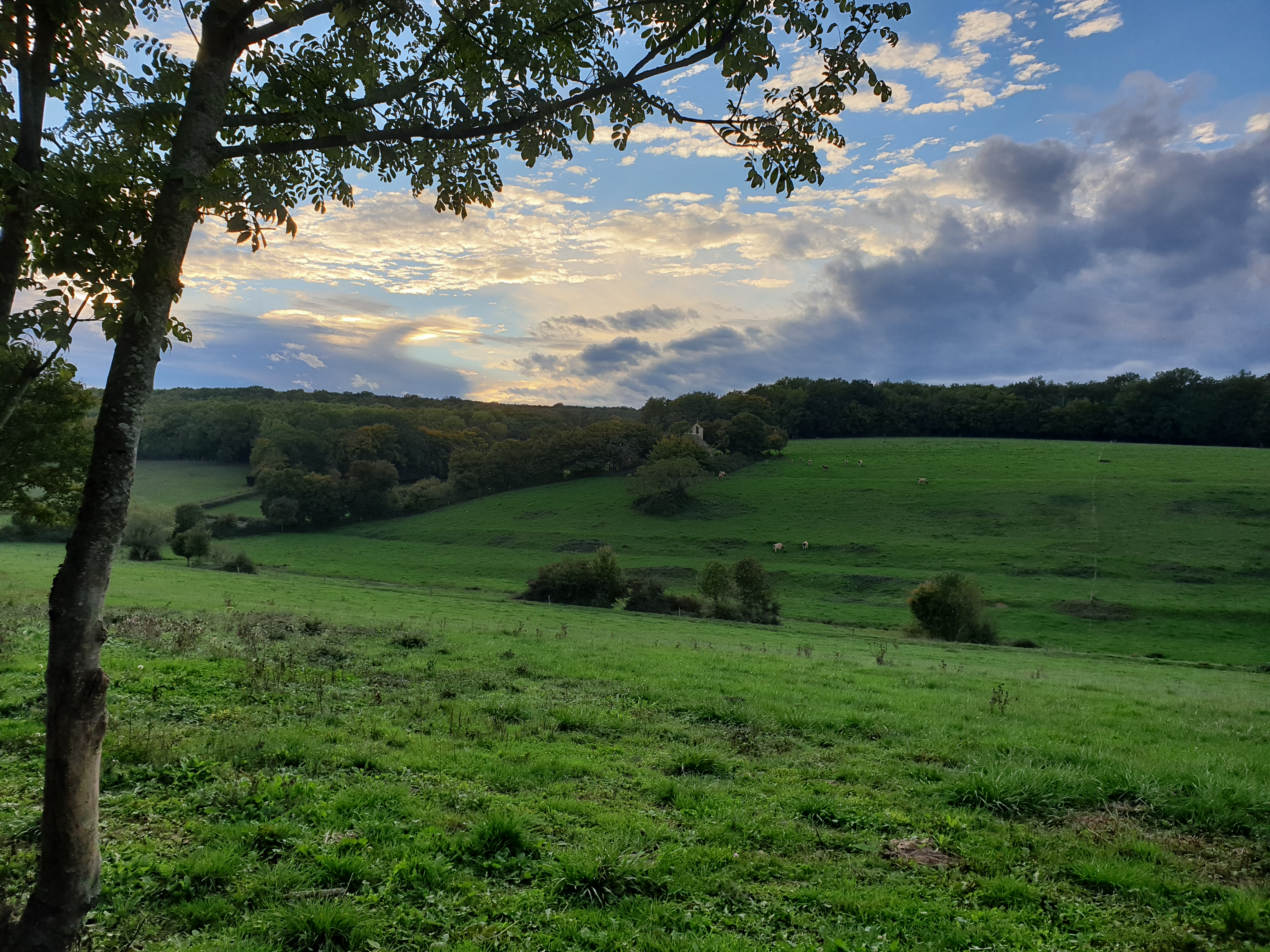 paysage-chapelle-saint-criat.jpg