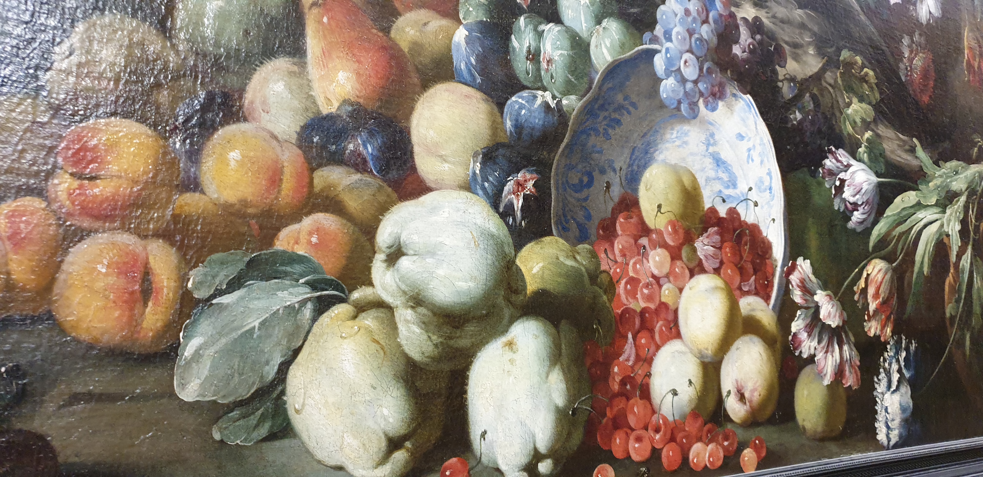 palais-musee-des-archeveque-narbonne-abraham-breughel-fleurs-fruits-oiseaux.jpg