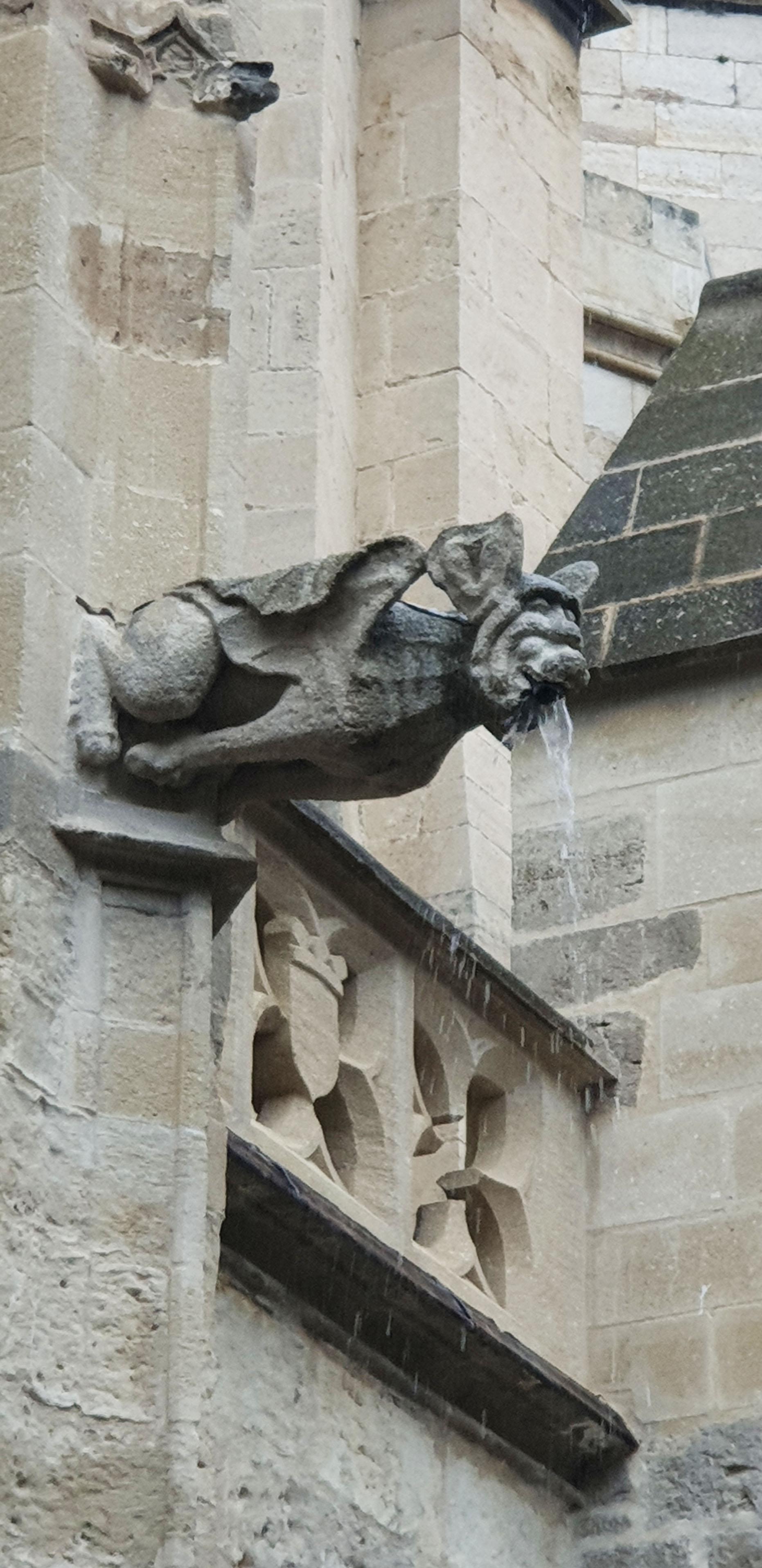 palais-musee-des-archeveque-narbonne-gargouille.jpg
