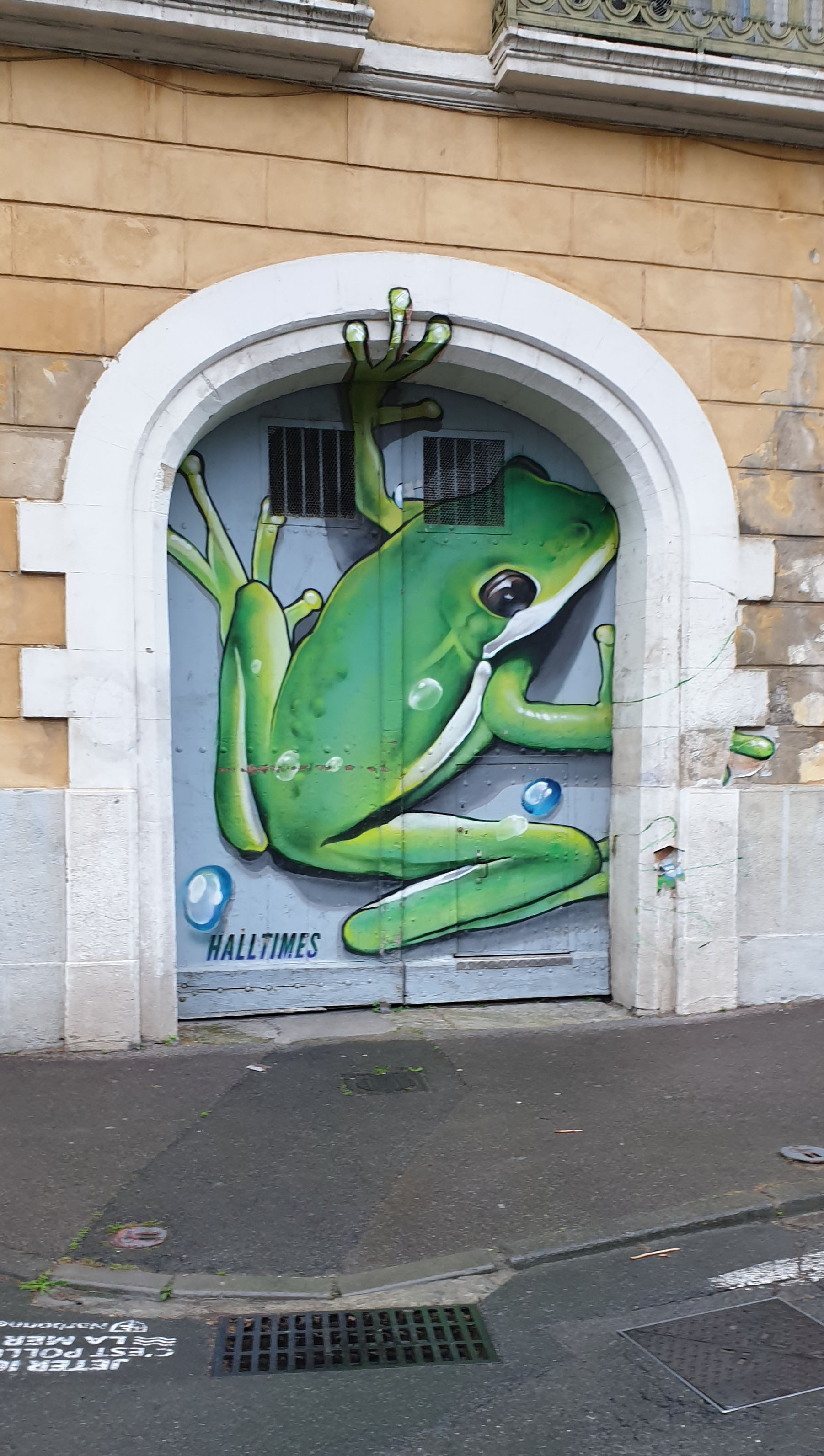 grenouille-street-art-halltimes-studio-quai-dillon-narbonne-1.jpg