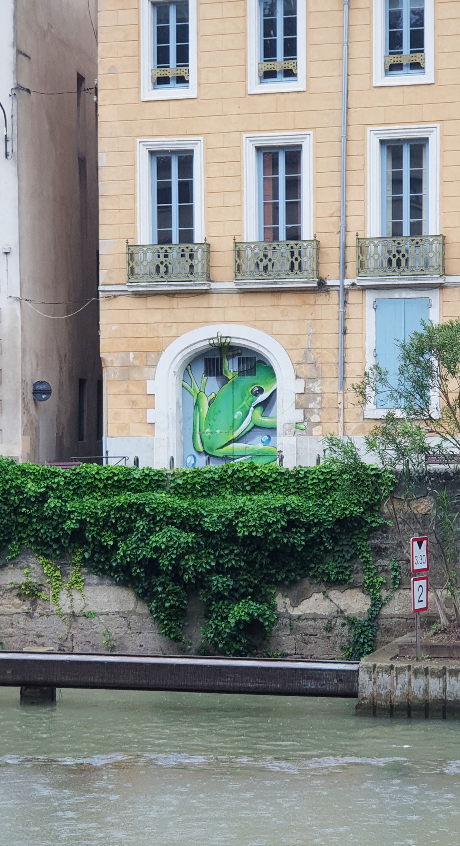 grenouille-street-art-halltimes-studio-quai-dillon-narbonne-2.jpg