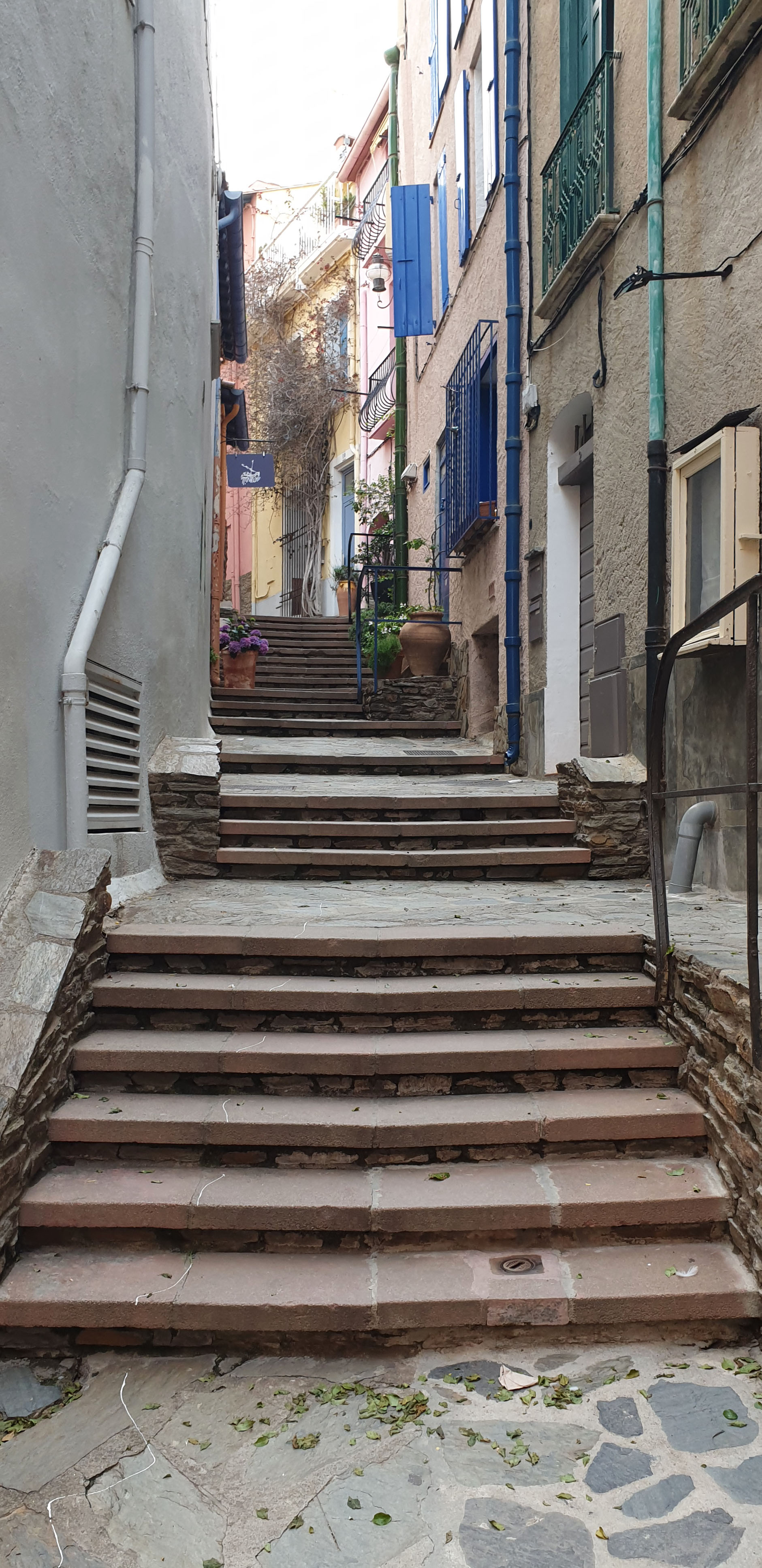 rue-collioure-2.jpg
