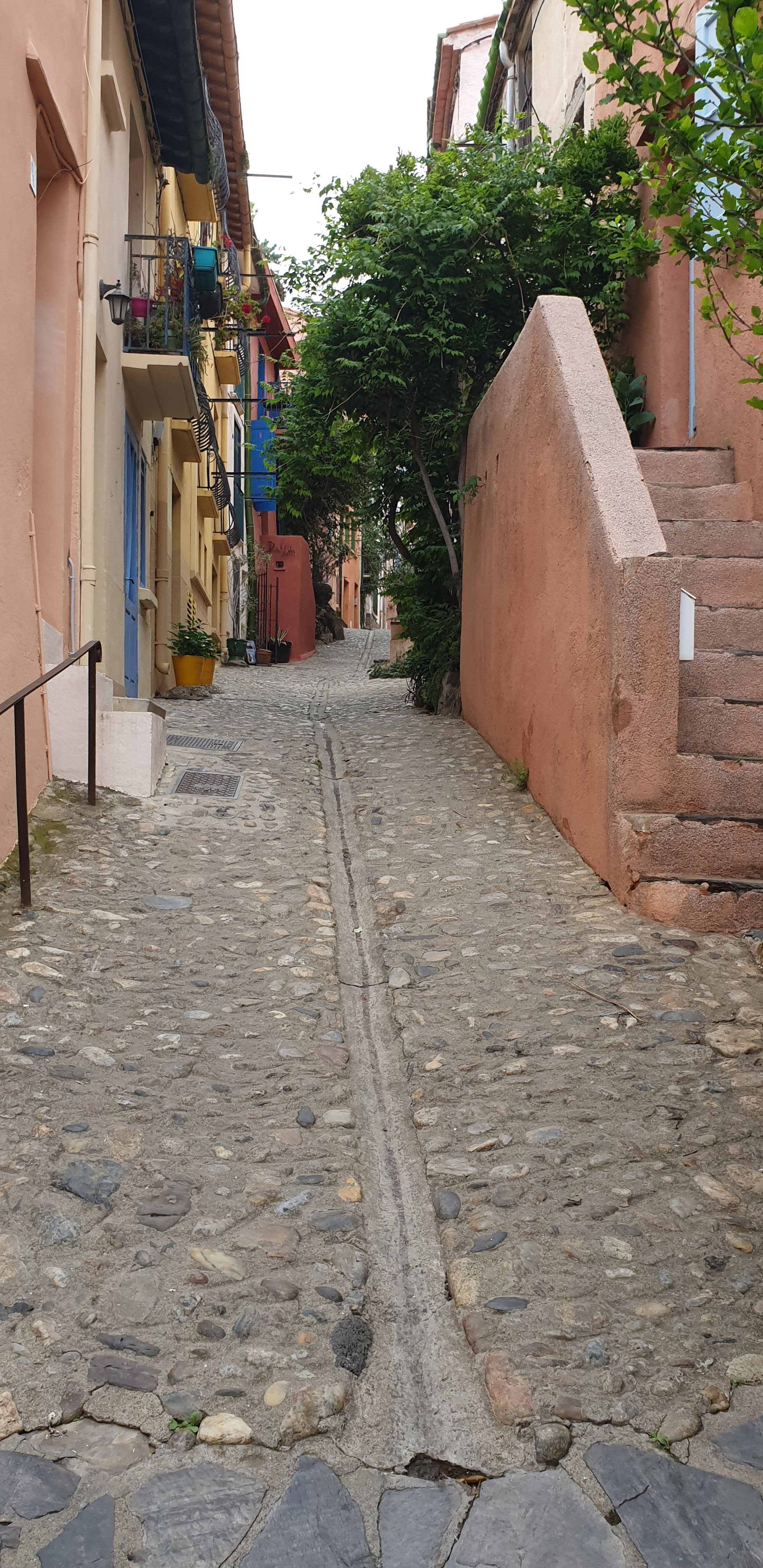rue-collioure-3.jpg