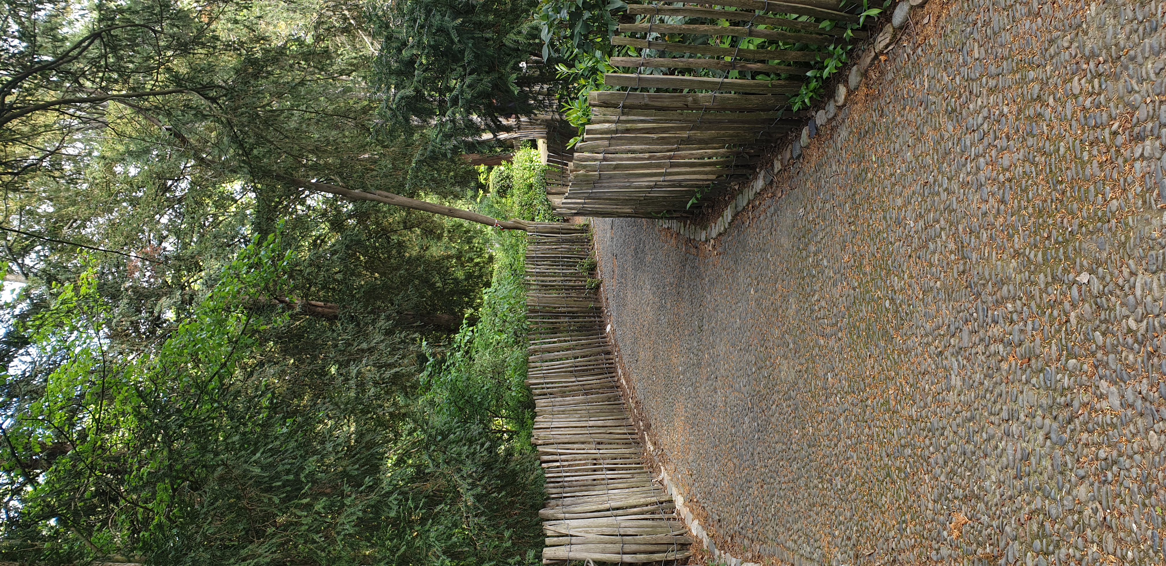 jardin-des-plantes-toulouse-3.jpg